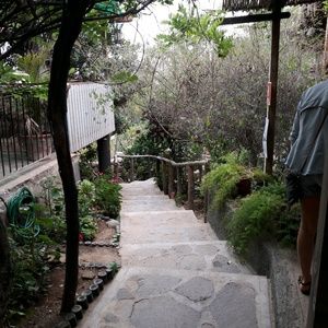 Meet your Posher, Patty